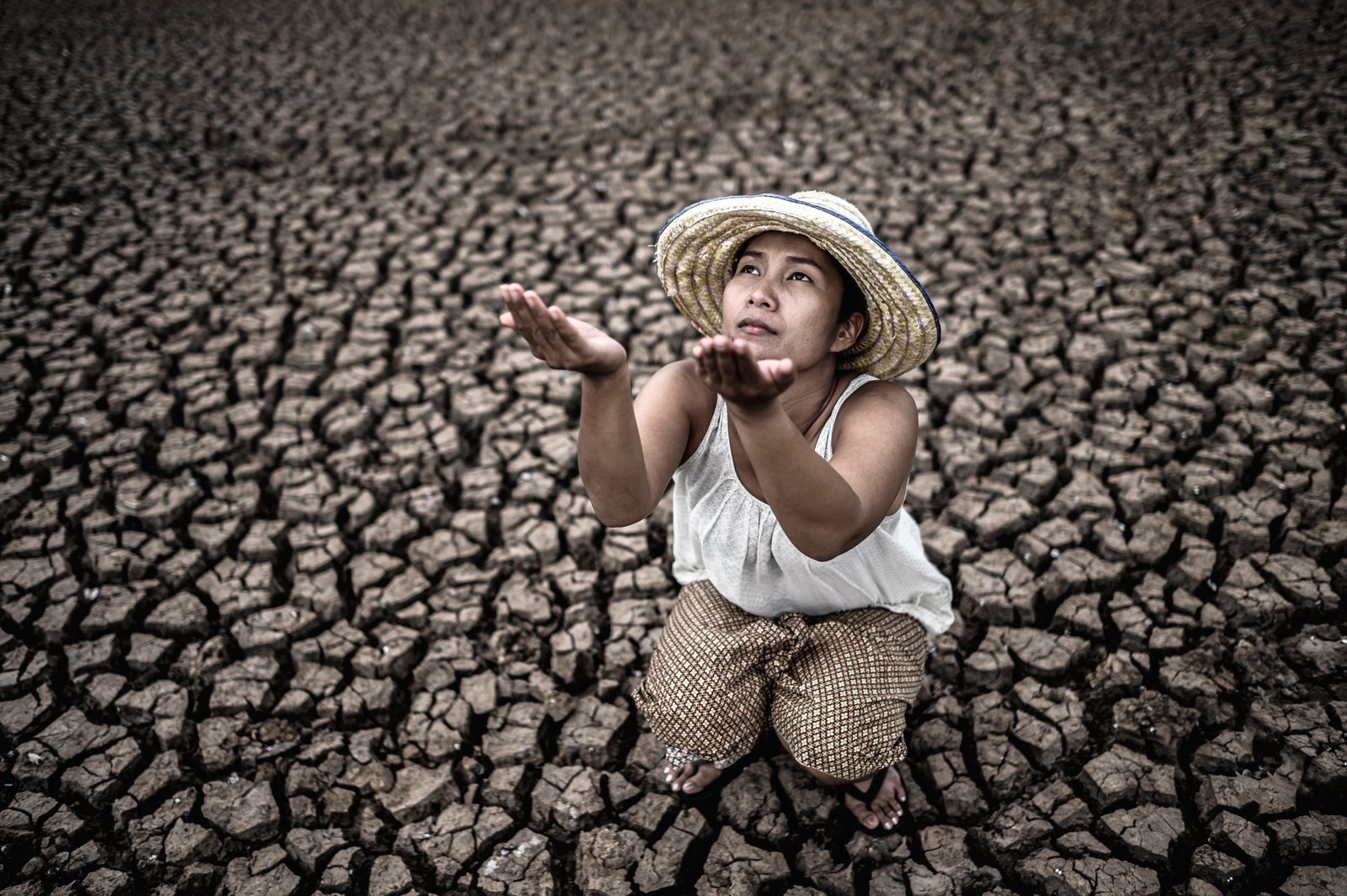The impact of climate change on the planet: facts and challenges